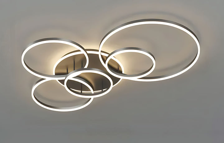 AERIAL™ Ceiling Lamp
